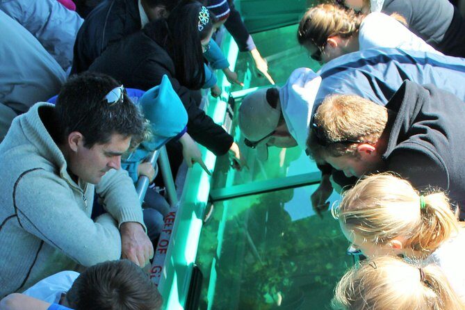 Glass Bottom Boat Tour - Experience the Underwater World of Goat Island without Getting Wet