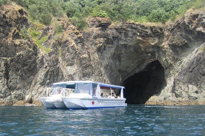Glass Bottom Boat Tour - A Detailed Look at the Glass Bottom Boat Tour
