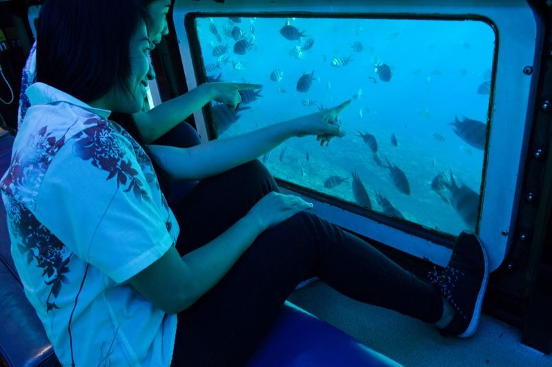 Glass Bottom Boat Tour in Okinawa - What to Know Before You Board