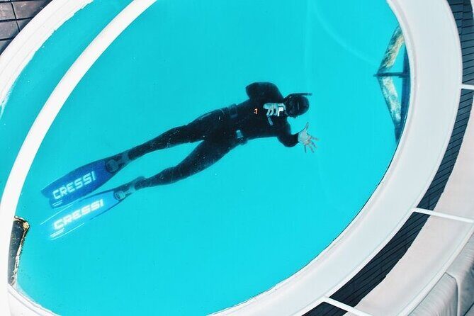 Glass Bottom Boat Tour & Snorkeling in São Miguel, Azores - Final Thoughts: Who Should Book This Tour?