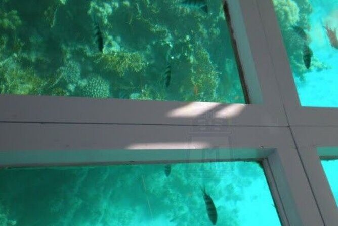 Glass Bottom Boat Water Activity in Montego Bay Jamaica - A Closer Look at the Glass Bottom Boat Experience