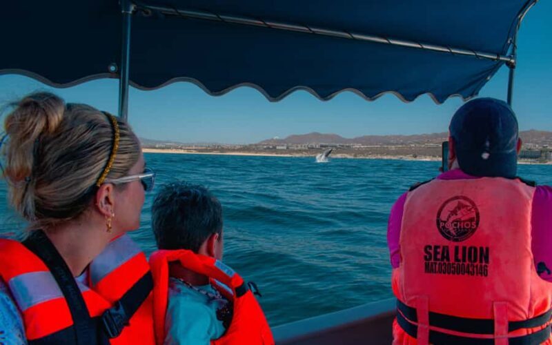 Glass bottom boat whale watching - FAQ