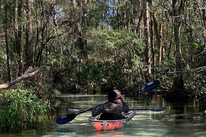 Glass Bottom Kayak Eco Tour through Rainbow Springs - Key Points