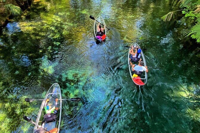 Glass Bottom Kayak Tours of Silver Springs - Exploring Silver Springs by Kayak: An Authentic Florida Experience