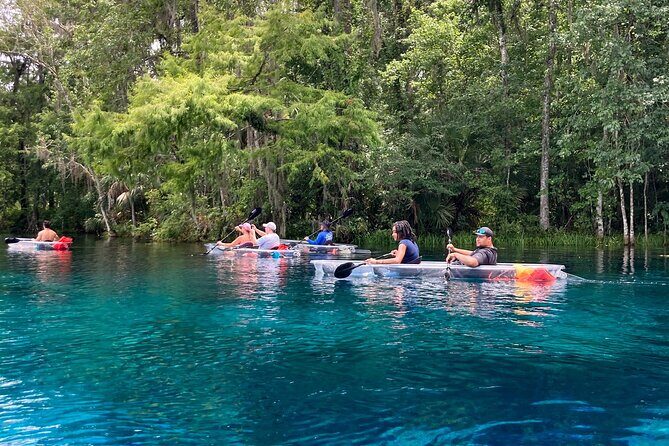 Glass Bottom Kayak Tours of Silver Springs - The Sum Up