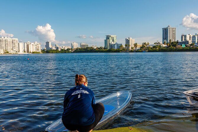 Glass Bottom SUP Rentals at Condado Lagoon - An In-Depth Look at Glass Bottom SUP Rentals in Condado Lagoon