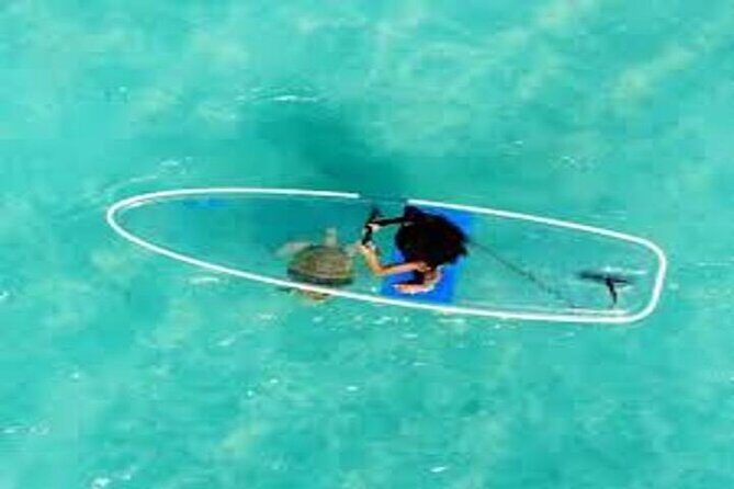 Glass Bottom SUP Rentals at Condado Lagoon - Frequently Asked Questions