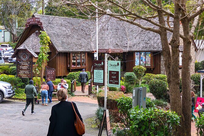 Glass House Mountains, Maleny and Montville Tour from Brisbane - Key Points
