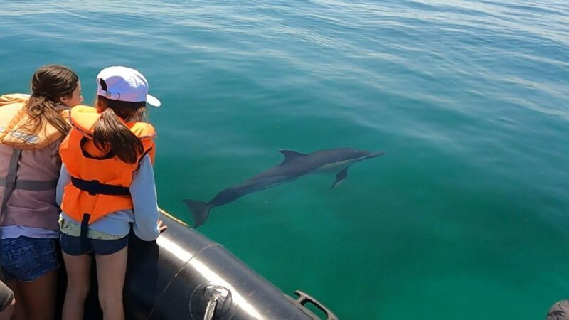 Glénan islands discover, full or half day privatization - Exploring the Glénan Islands: A Private Boat Tour in Brittany