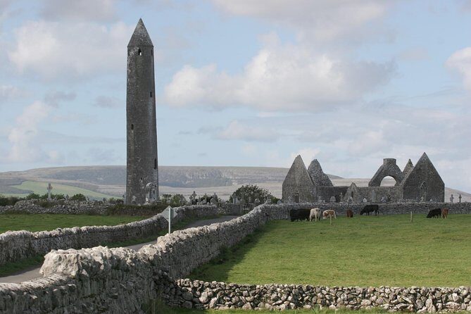 Glendalough and Dublin City Excursion - Ship to shore - Who Should Consider This Tour?