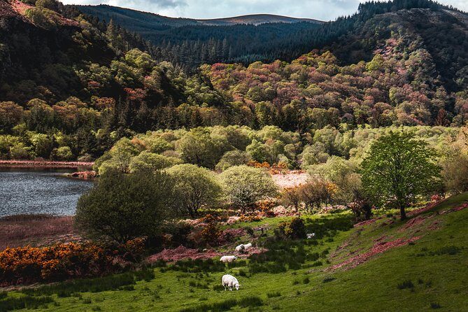 Glendalough Day Tour from Dublin: Including Kilkenny City - FAQ