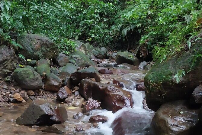 Glide into adventure: Hiking and natural slides - Glide into adventure: Hiking and natural slides