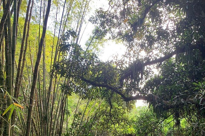 Glide into adventure: Hiking and natural slides - Authentic Reviews: What Past Travelers Say