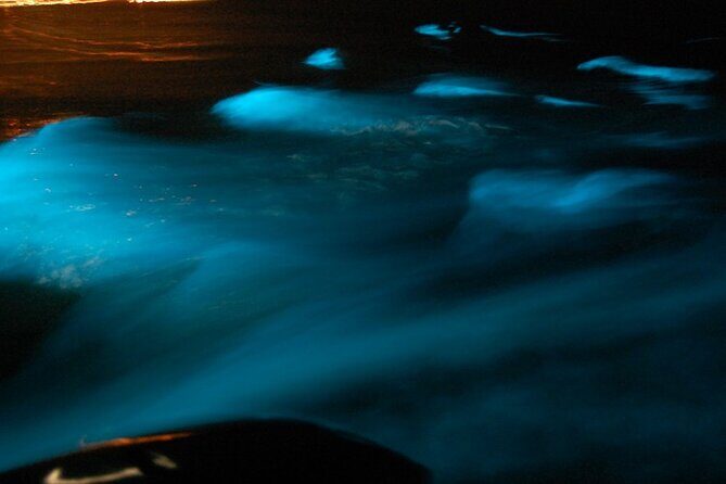 Glistening Waters Luminous Lagoon Boat Tour in Falmouth Jamaica - The Experience in Detail