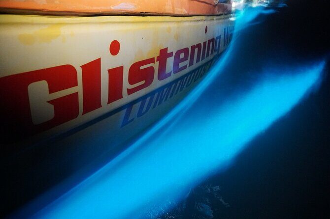 Glistening Waters Luminous Lagoon Night tour with swim option - A Closer Look at the Glistening Waters Luminous Lagoon Night Tour