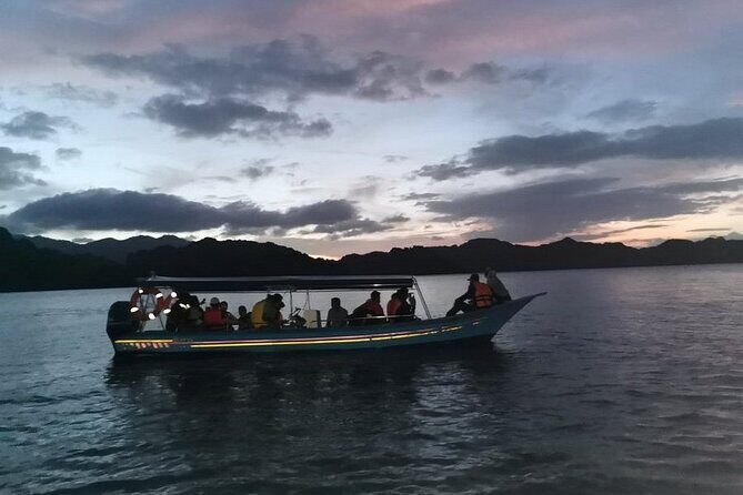 Glow-in-the-Dark Mangrove Adventure Night Safari Plus Dinner - Practical Considerations