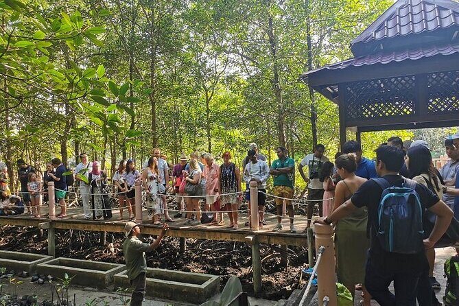 Glow-in-the-Dark Mangrove Adventure Night Safari Plus Dinner - Who Should Consider This Tour?
