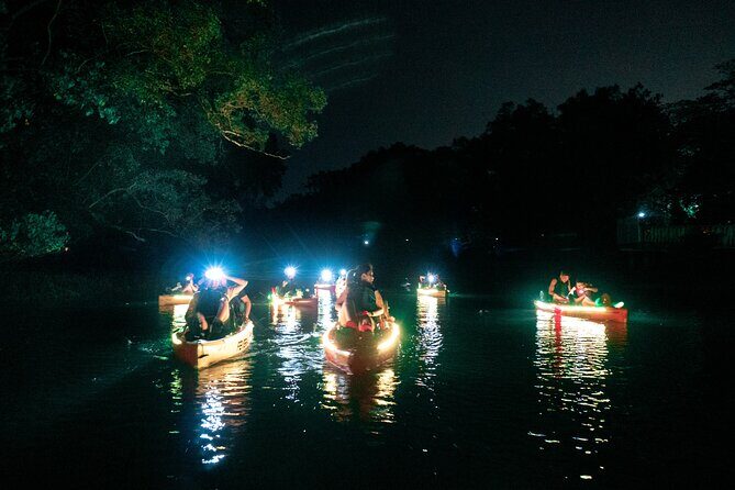 Glow Kayak Night Adventure in the Mangroves - FAQ