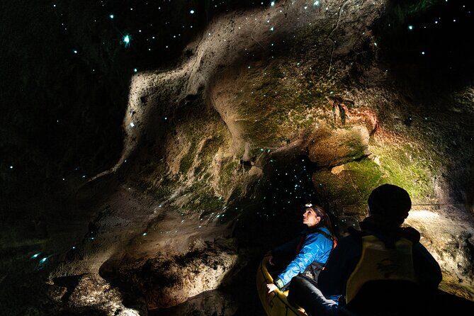 Glow Worm Kayak Tour - Final Thoughts: Is It Worth It?