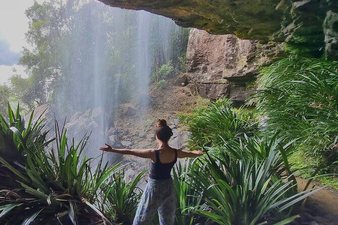 Glow Worms + Day/Night Rainforest & Waterfalls Experience - Who Should Book This Tour?