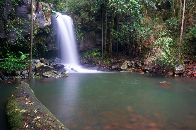 Glow Worms - Nocturnal Rainforest/Waterfall Adventure - Who Will Enjoy This Tour?