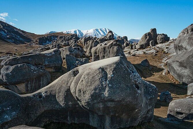Go Caving & Explore Castle Hill from Christchurch (Private Tour) - Who Will Love This Tour?