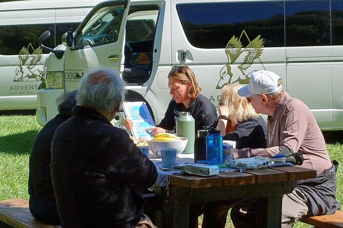 Go Caving & Explore Castle Hill from Lyttelton (Shore Excursion) - Why This Tour Is a Great Choice