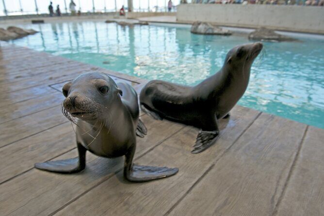 Go City: Boston Explorer Pass - Choose 2, 3, 4 or 5 Attractions - The Sum Up