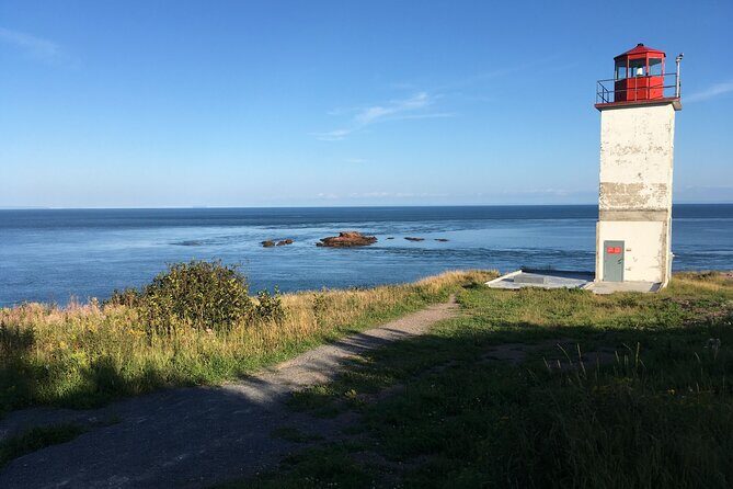 Go Fundy Tours - Exploring the Coast of New Brunswick with Go Fundy Tours