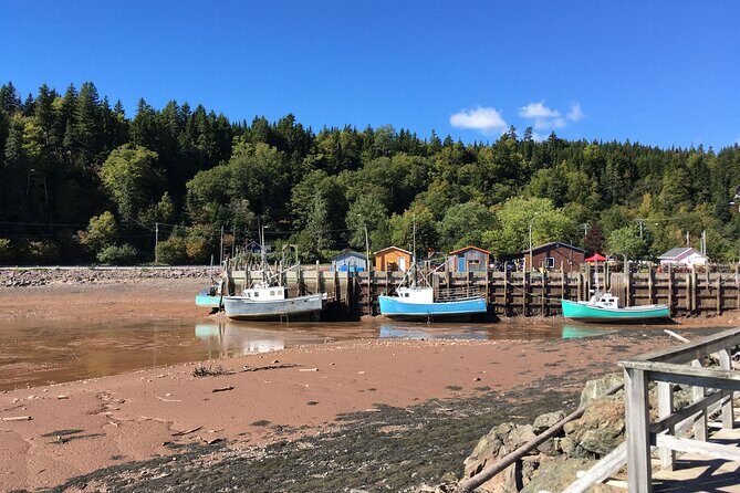Go Fundy Tours - Key Points