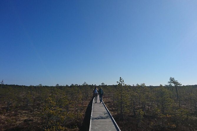 Go North  Private 1 Day Trip to Estonian Nature - Key Points