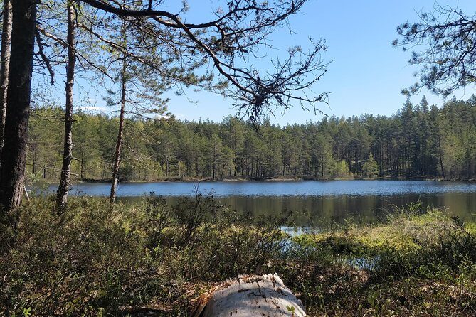 Go North  Private 1 Day Trip to Estonian Nature - Authentic Estonian Nature and Culture