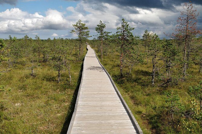 Go North  Private 1 Day Trip to Estonian Nature - Who Is This Tour Best For?