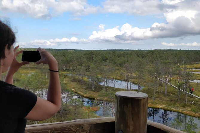 Go North  Private 1 Day Trip to Estonian Nature - The Sum Up