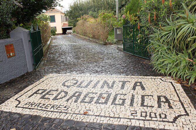 Go South Tour - Madeira Island Excursion - Key Points
