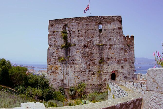 Go Tours 360° Experience in Gibraltar with Professional Guide - Who Is This Tour Best For?
