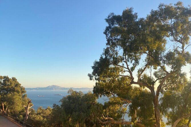Go Tours Private Rock Experience Tour in Gibraltar - Practical Tips for Booking and Enjoying
