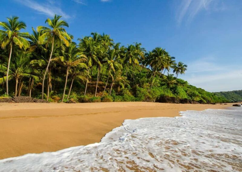 Goa: 5-Day Beaches, Forts, and Heritage Tour - Exploring Goa in 5 Days: A Balanced Mix of Beaches, Forts, and Heritage