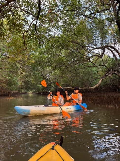 Goa: Backwater Kayaking Tour - An Authentic Goa Experience: The Details