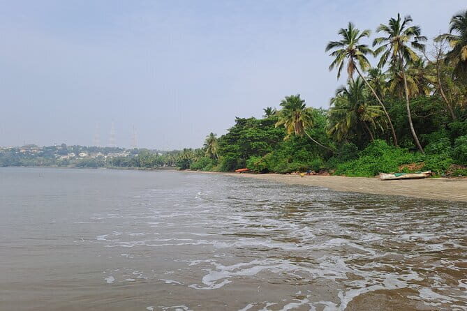 Goa Beach and Beer Tour - Who Should Consider This Tour?