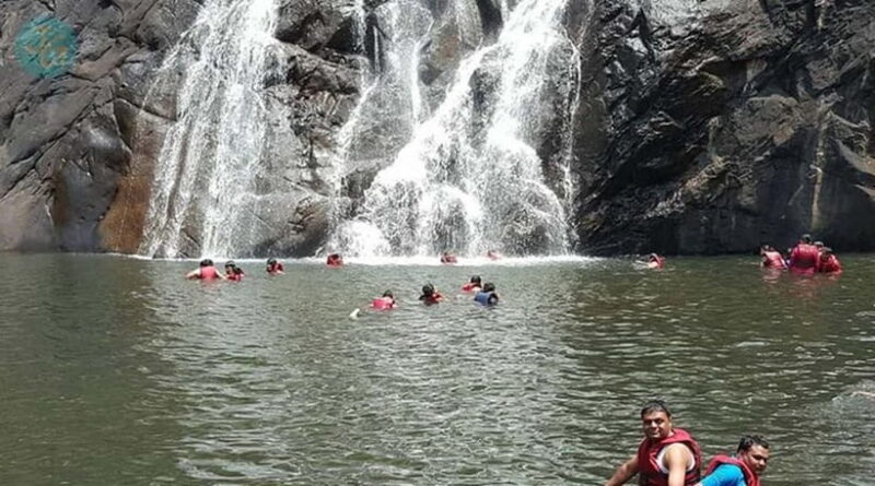 Goa: Dudhsagar Waterfall, Jeep Safari and Spice Plantation - The Sum Up