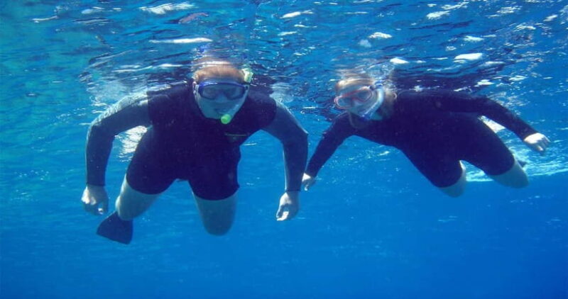 Goa: Scuba Diving Combo Package in Grand Island - Key Points