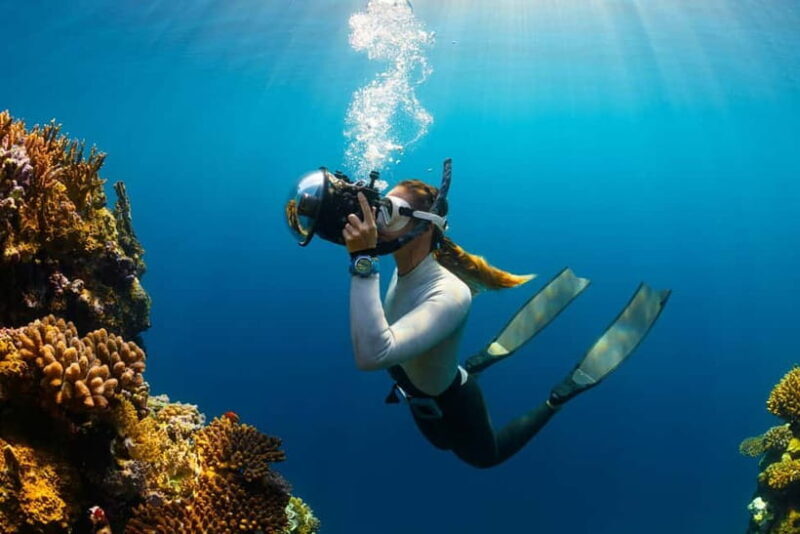 Goa: Scuba Diving Combo Package in Grand Island - Discovering Goa’s Marine Treasures