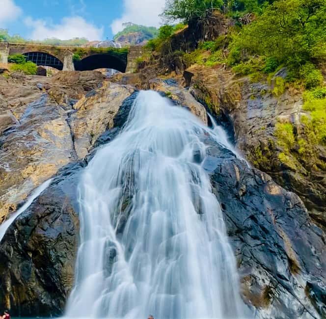 Goa: SIC Dudhsagar Waterfall and Spice Plantation Day Tour - Goa: SIC Dudhsagar Waterfall and Spice Plantation Day Tour