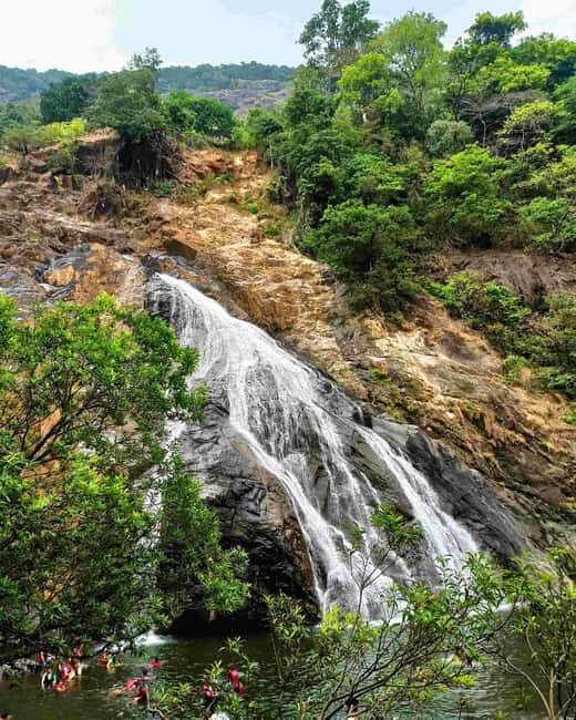 Goa: SIC Dudhsagar Waterfall and Spice Plantation Day Tour - Who Should Consider This Tour?