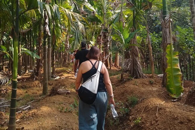 Goan Village Life Tour - A Detailed Look at the Goan Village Life Tour