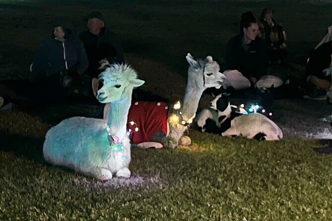 Goat and Alpaca Sound Bath - Gilbert Arizona - FAQ