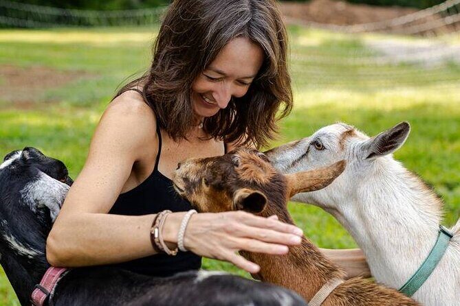 Goat Yoga Experience in Asheville - Key Points