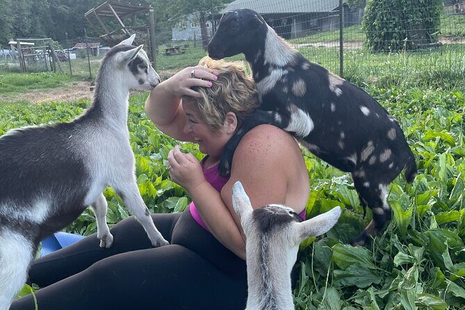 Goat Yoga Experience in Asheville - FAQs
