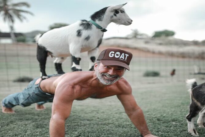 Goat Yoga Group Session - Authenticity and Practical Tips